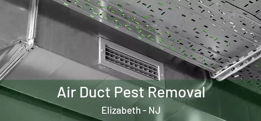  Air Duct Pest Removal Elizabeth - NJ