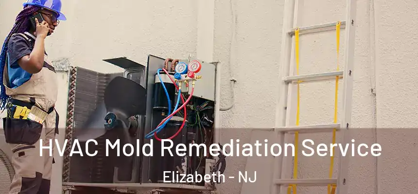 HVAC Mold Remediation Service Elizabeth - NJ