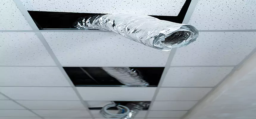 Affordable HVAC Sanitizing After Pest Removal in Elizabeth