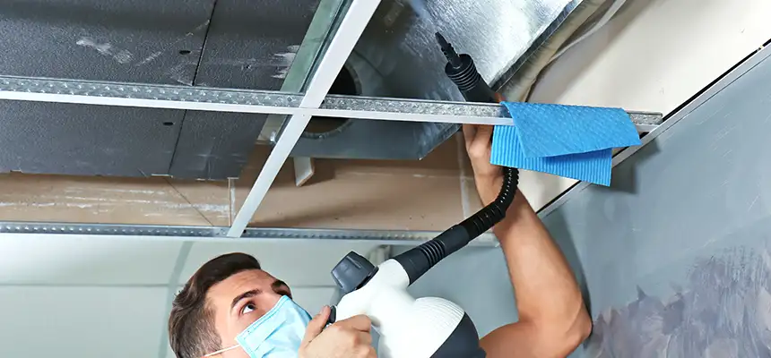 Our Air Duct Rodent Removal Services in Elizabeth, NJ