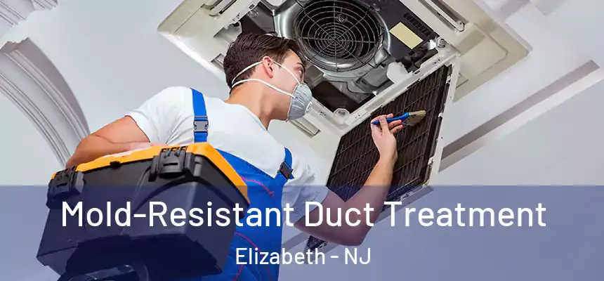  Mold-Resistant Duct Treatment Elizabeth - NJ