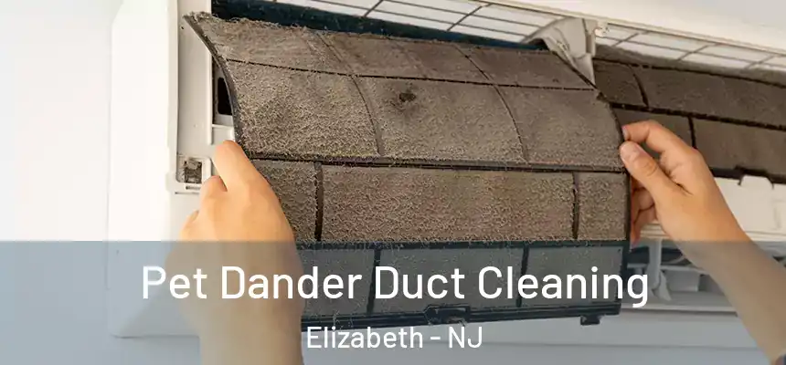 Pet Dander Duct Cleaning Elizabeth - NJ