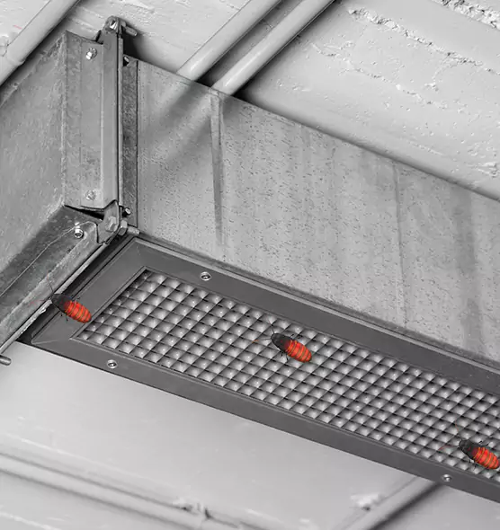 About Air Duct Cockroach Removal in Elizabeth, NJ