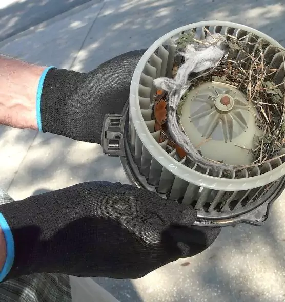 About Air Duct Rat Removal in Elizabeth, NJ