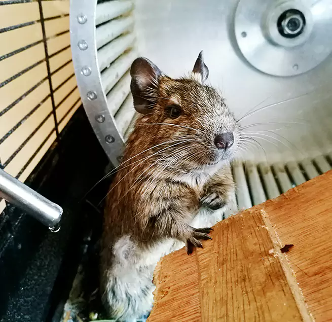 Why Homeowners & Businesses Trust Us Elizabeth, NJ