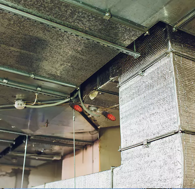 Why Homeowners & Businesses Trust Us Elizabeth, NJ?